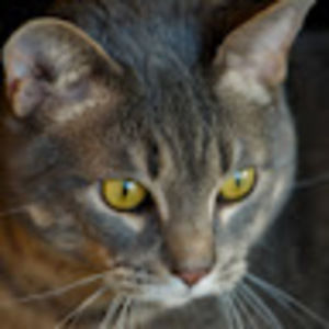 Meet your Posher, Julie